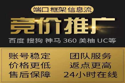 知名SEM公司案例分析：优化策略与成果